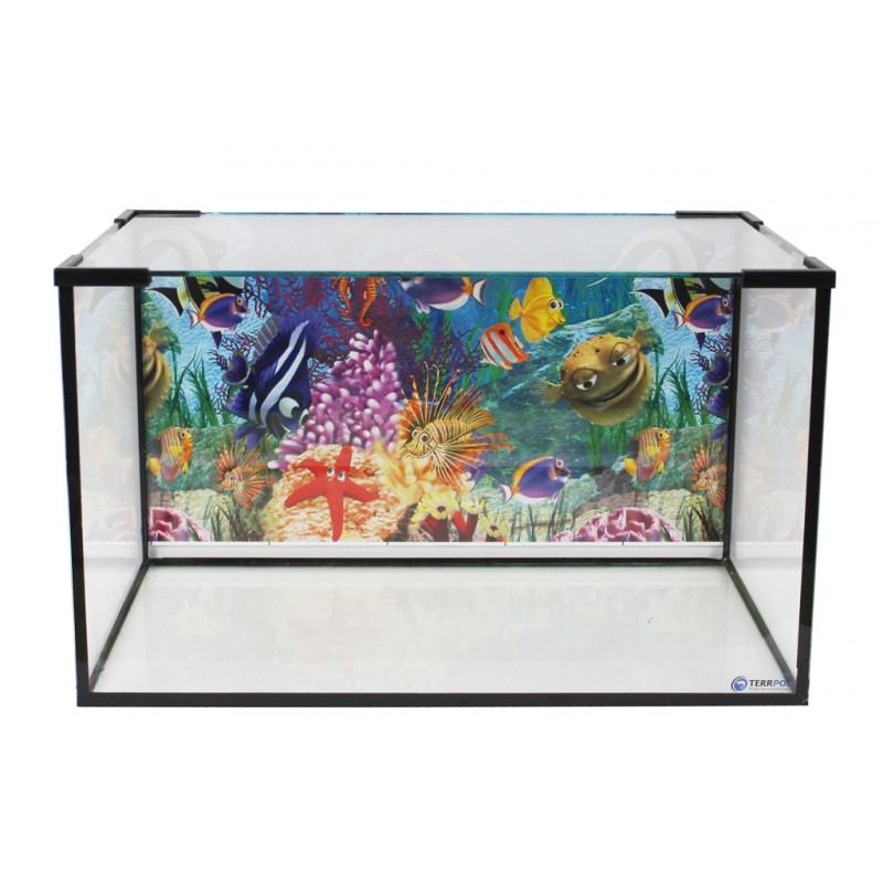 Do Akwarium Ktorego Dno Ma Wymiary 40 Cm 50 Cm Akwarium z pokrywą i tłem 60x30x30 54l - Internetowy sklep zoologiczny