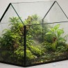 Szklarnia 25x15x23cm