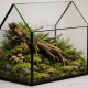 Szklarnia 25x15x23cm