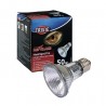 Halogenowa lampa grzewcza Heat Spot Pro 50W