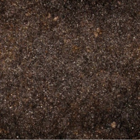 Gleba próchniczna - humus do terrarium 5l