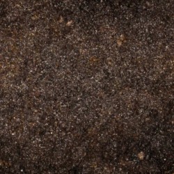 Gleba próchniczna - humus do terrarium  20l