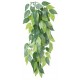 Sztuczna roślina wisząca z jedwabiu, Figowiec ø20x50cm