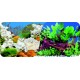 Dwustronne tło do akwarium Tapeta koral/korzenie