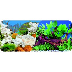 Dwustronne tło do akwarium Tapeta koral/korzenie