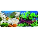 Dwustronne tło do akwarium Tapeta koral/korzenie 51cm